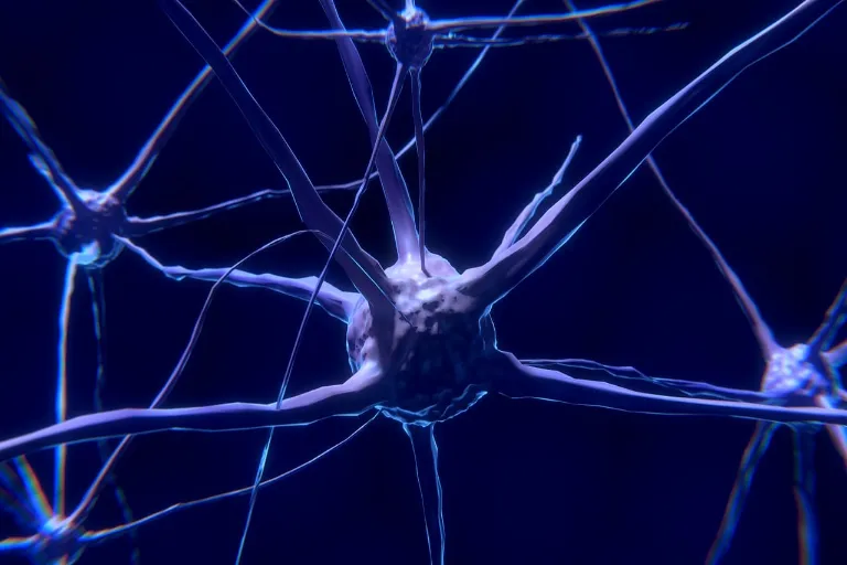 Neuralink dokáže implantovat čip do mozku: Funguje to?