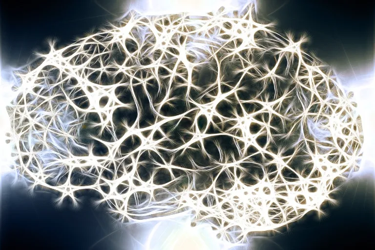CzechTechnology - Láska vědecky: Co se děje ve Vašem mozku, když se zamilujete? neurony
